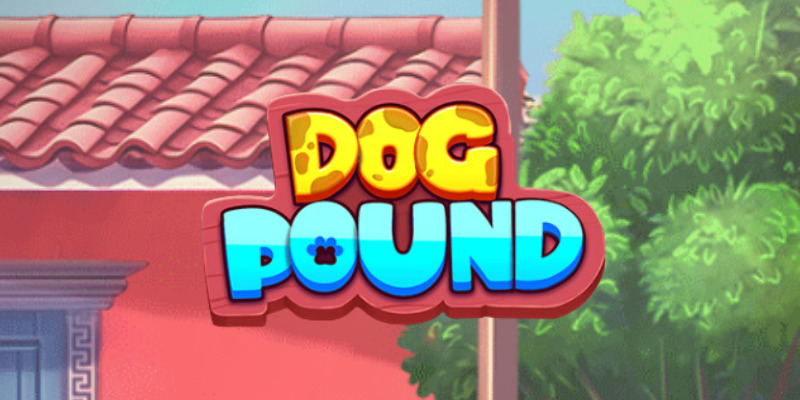 Dog Pound  (Reel Kingdom) - обзор слота