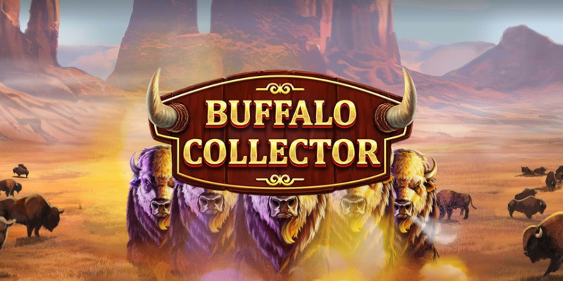 Buffalo Collector (Red Tiger Gaming) - обзор