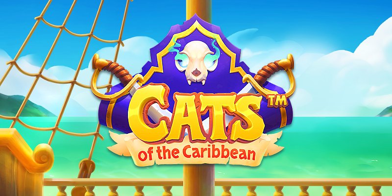 Cats of the Caribbean (Snowborn) - обзор