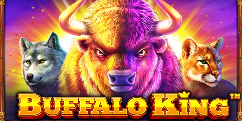 Buffalo King (Pragmatic Play) - обзор