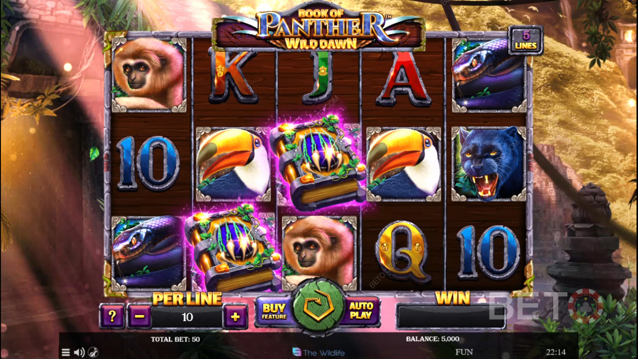 Дикая тема в слоте Book of Panther Wild Dawn