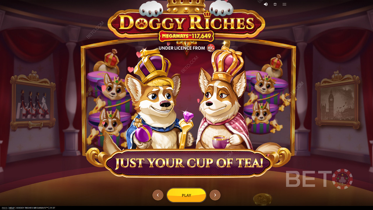 Функции слота Doggy Riches Megaways