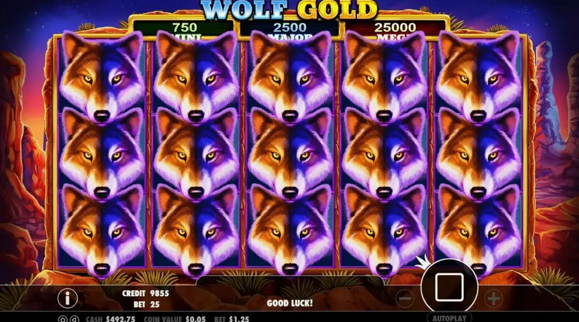Как начать игру Wolf Gold